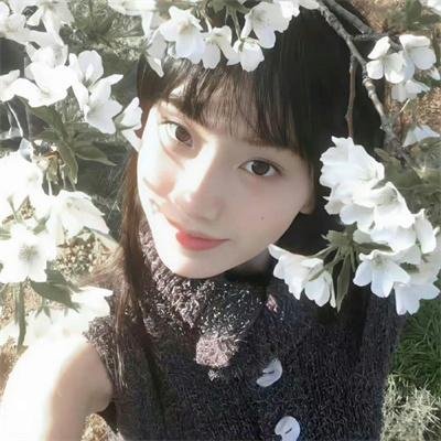 那树繁花