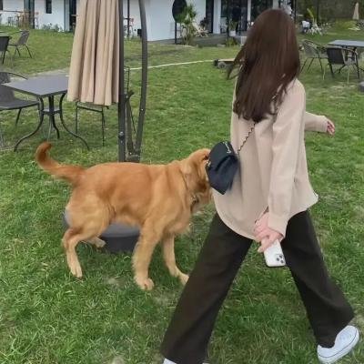 午后三点的彩虹